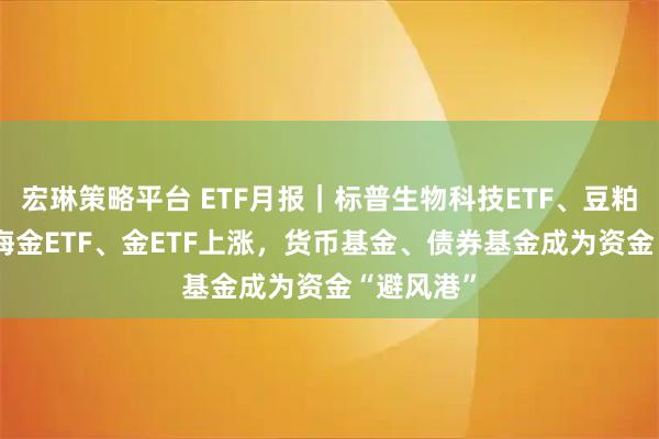 宏琳策略平台 ETF月报｜标普生物科技ETF、豆粕ETF、上海金ETF、金ETF上涨，货币基金、债券基金成为资金“避风港”
