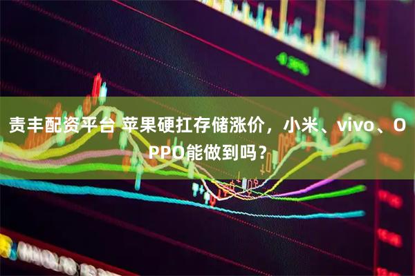 责丰配资平台 苹果硬扛存储涨价，小米、vivo、OPPO能做到吗？