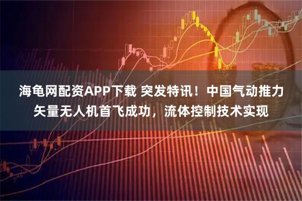 海龟网配资APP下载 突发特讯！中国气动推力矢量无人机首飞成功，流体控制技术实现