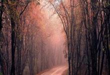 股票上市交易:手机怎么玩转股票-浮盈颇丰 “牛散”、私募ETF持仓曝光